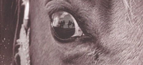 spielbergs-neste-film-er-war-horse