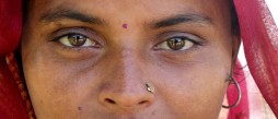 FFS\'10: Intervju - Kim Longinotto om Pink Saris ffs10-intervju-kim-longinotto-om-pink-saris
