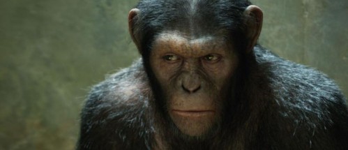 rise-of-the-planet-of-the-apes