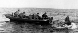 Man of Aran (1934) man-of-aran-1934
