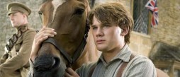 war-horse