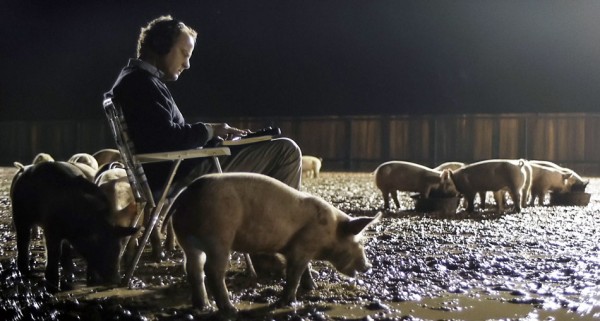 upstream-color-pigs-cropped