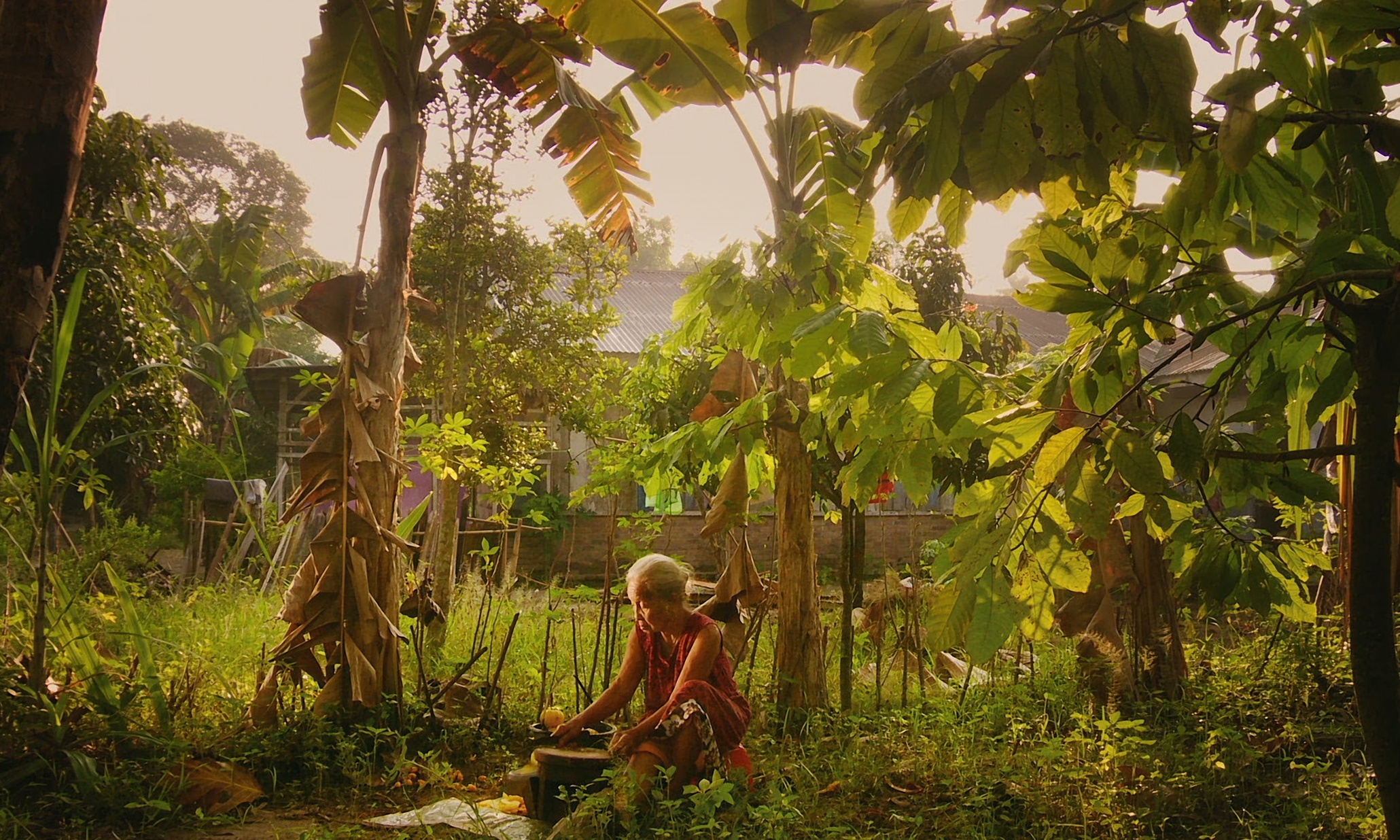 «The Look of Silence»