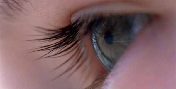 Voyage-of-Time-3-620x316