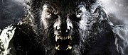 Les denne saken
