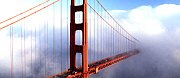 the-bridge