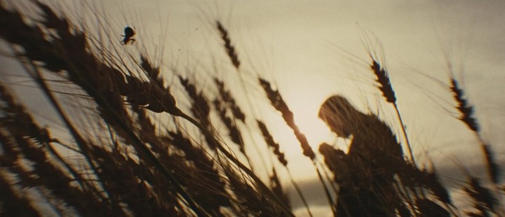 «The Assassination of Jesse James by the Coward Robert Ford» (Andrew Dominik, 2007)