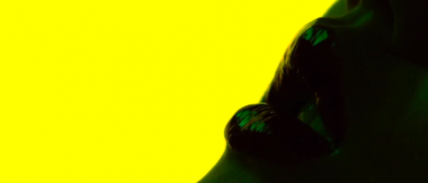 Gaspar Noé byr på sensuell fruktsyre i ny Animal Collective-video