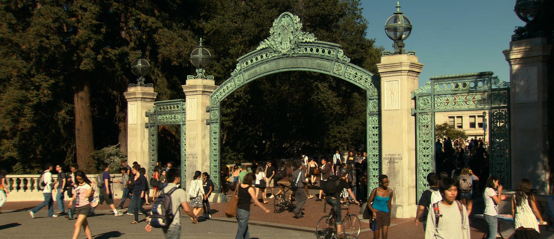Some Thoughts on the Study of Terminal Institutions in Frederick Wisemans At Berkeley