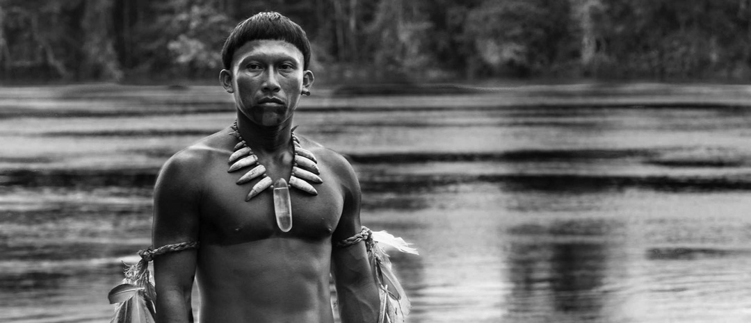 Embrace of the Serpent | Montages