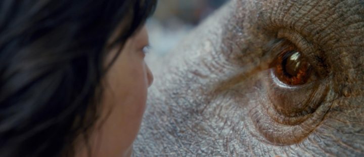 okja