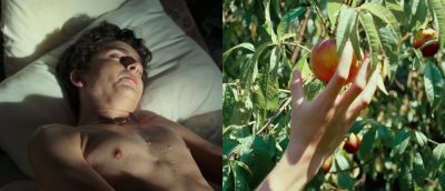 The impeachment of Elio: Fruits and echoes in Luca Guadagnino’s Call Me by Your Name