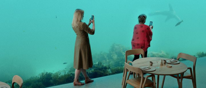 «The Wonders Beneath the Sea» av Ellen Ugelstad konkurrerer i årets norske kortfilmprogram.
