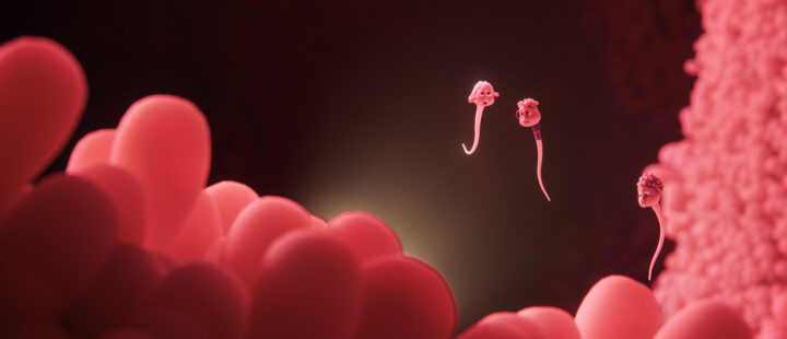 «Spermageddon» (foto: 74 Entertainment, SF Studios).