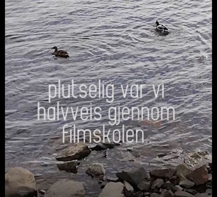 Les innlegget